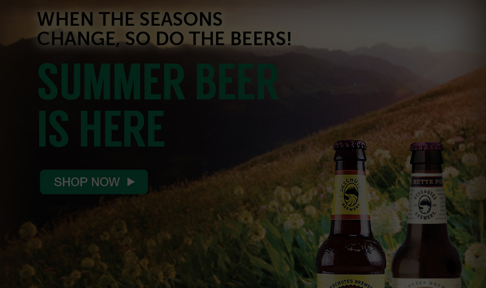 Summer Beer Email
